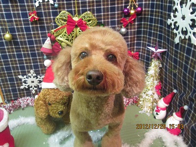 ファイル 5883-2.jpg