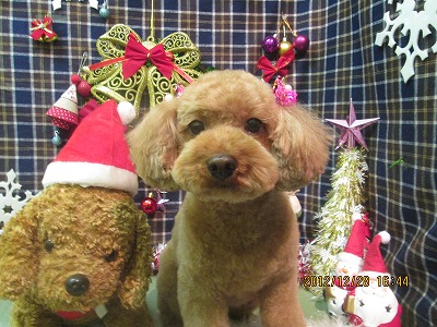 ファイル 5884-1.jpg