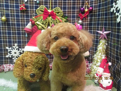 ファイル 5884-2.jpg