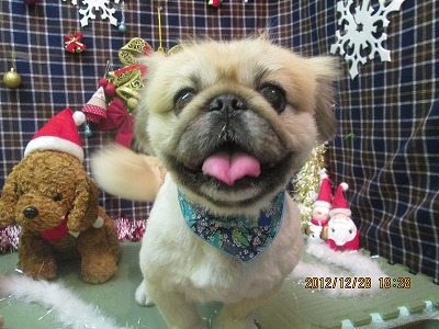 ファイル 5885-1.jpg