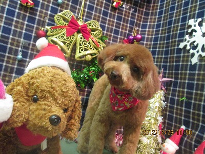 ファイル 5886-1.jpg