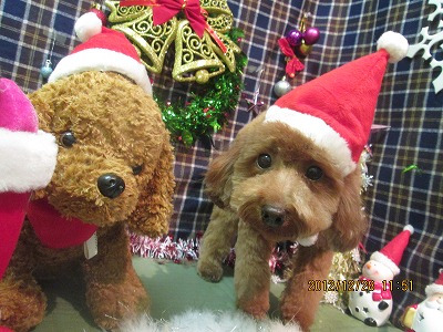 ファイル 5886-2.jpg