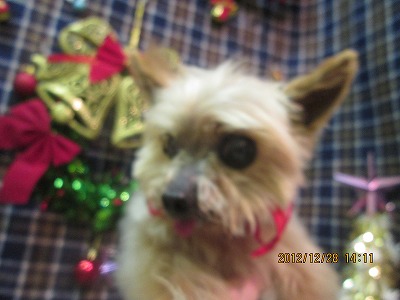 ファイル 5887-1.jpg