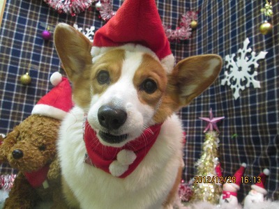 ファイル 5888-1.jpg