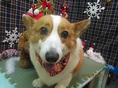 ファイル 5888-2.jpg