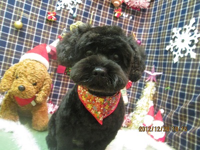 ファイル 5889-1.jpg