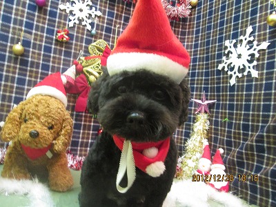 ファイル 5889-2.jpg