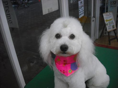 ファイル 589-1.jpg