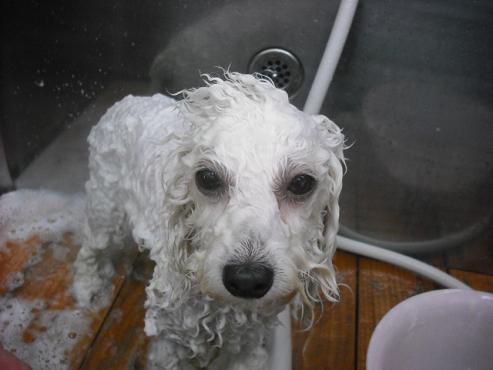 ファイル 589-2.jpg