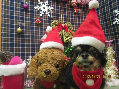 ファイル 5890-1.jpg