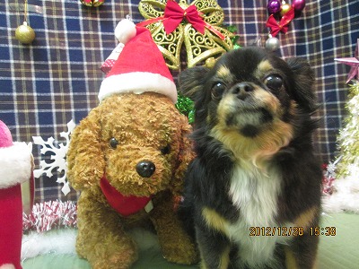 ファイル 5890-2.jpg