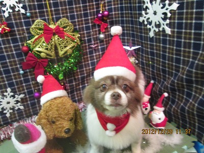 ファイル 5891-1.jpg