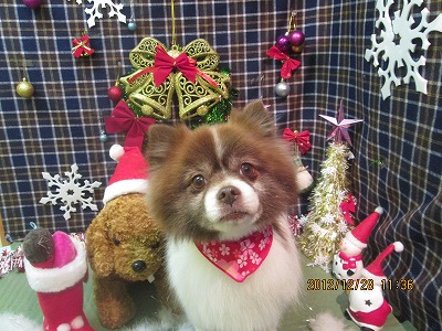 ファイル 5891-2.jpg