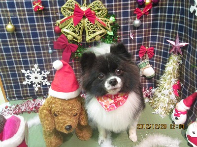 ファイル 5892-2.jpg