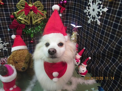 ファイル 5893-1.jpg