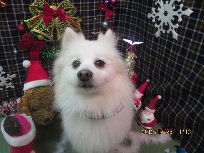 ファイル 5893-2.jpg