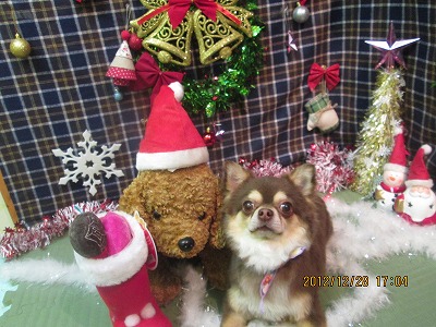 ファイル 5895-2.jpg