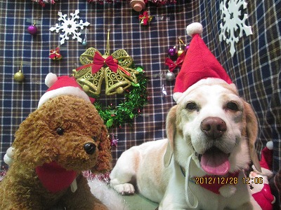 ファイル 5896-1.jpg