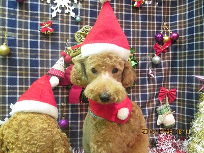 ファイル 5897-1.jpg