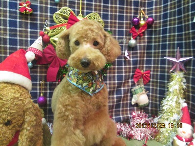 ファイル 5897-2.jpg