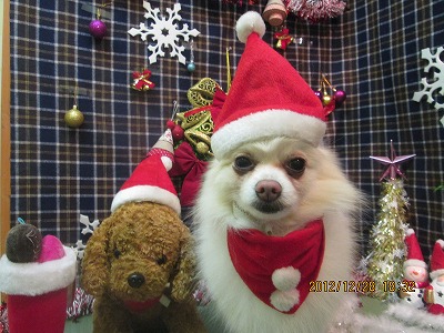 ファイル 5898-1.jpg