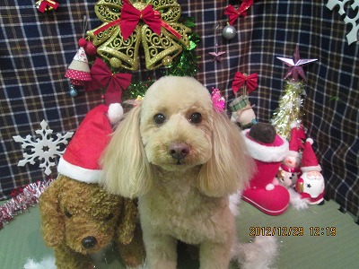 ファイル 5899-1.jpg