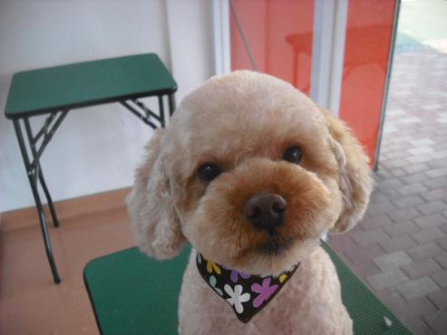 ファイル 59-1.jpg