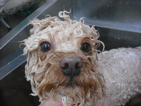 ファイル 59-2.jpg