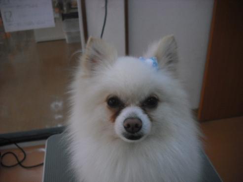 ファイル 590-1.jpg