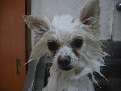 ファイル 590-2.jpg