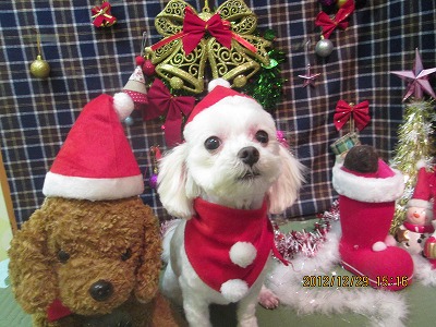 ファイル 5900-1.jpg