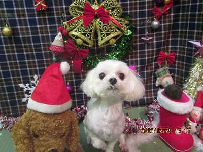 ファイル 5900-2.jpg