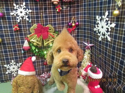 ファイル 5901-1.jpg