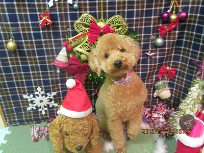 ファイル 5902-1.jpg