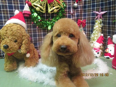 ファイル 5903-1.jpg