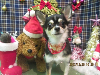 ファイル 5904-1.jpg