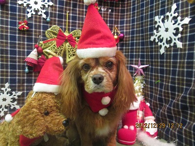 ファイル 5905-1.jpg