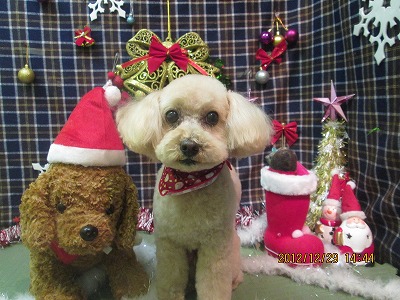 ファイル 5906-1.jpg