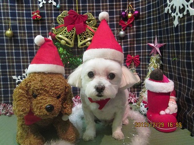 ファイル 5907-1.jpg