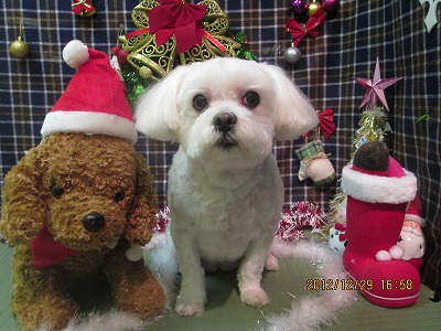 ファイル 5907-2.jpg