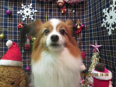 ファイル 5908-1.jpg