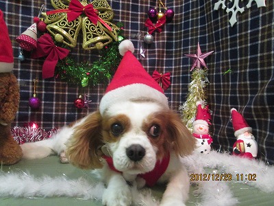 ファイル 5909-1.jpg