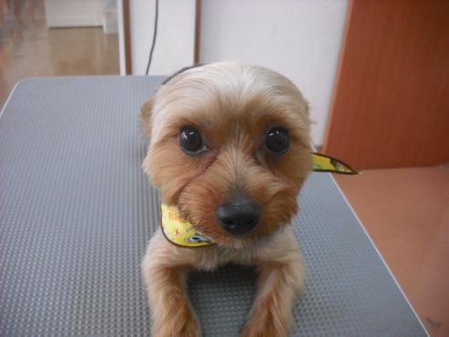 ファイル 591-1.jpg