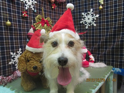 ファイル 5910-1.jpg