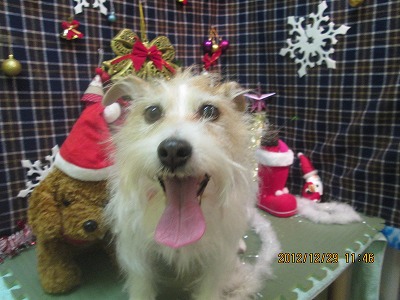 ファイル 5910-2.jpg