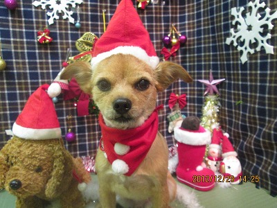 ファイル 5911-1.jpg