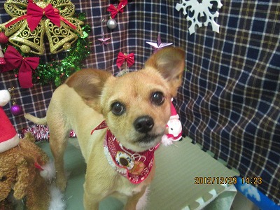 ファイル 5911-2.jpg