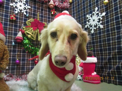 ファイル 5913-1.jpg