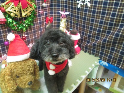 ファイル 5914-1.jpg