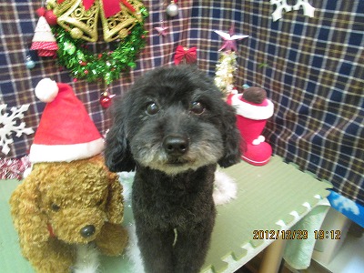 ファイル 5914-2.jpg